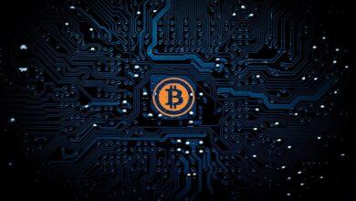 bitcoin, btc, cryptocurrency, cryptography, cryptomoney, digital money, circuit, board, peer to peer, currency, money, payment, financial, banking, cash, bit, internet, pay, coin, finance, electronic, virtual, satoshi, black money, black finance, black internet, black digital, black bank, black board, bitcoin, bitcoin, bitcoin, bitcoin, bitcoin, cryptocurrency, cryptocurrency