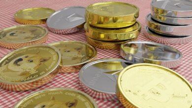 coins, bitcoin, dogecoin, crypto currency, crypto, money, currency, dogecoin, dogecoin, dogecoin, dogecoin, dogecoin