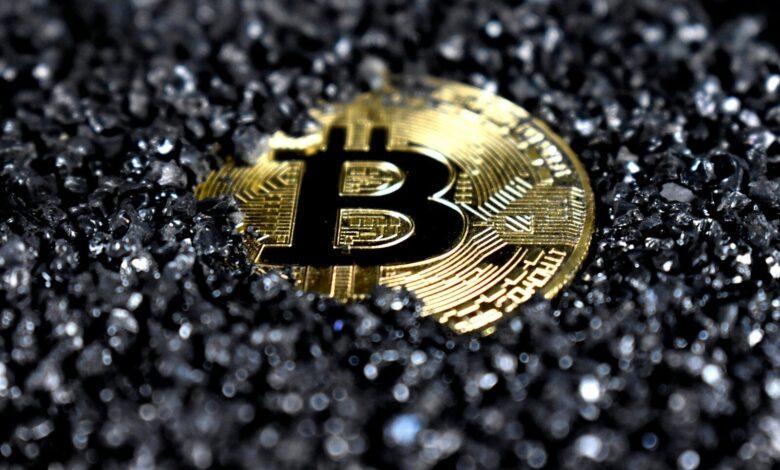 gold and black round emblem